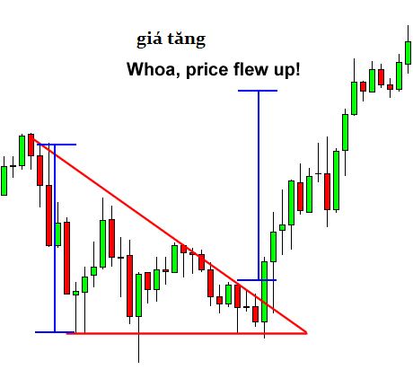 awww.traderviet.com_upload_duongnguyenhuy555_image_BABYPIPS_chart_20pattern_cp7_6.